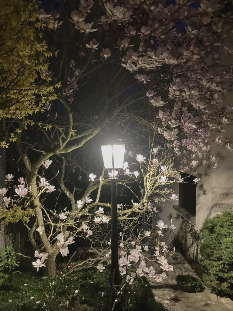 restauration-lampadaire