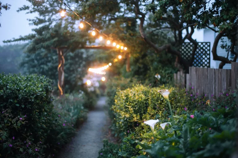 allée de jardin éclairée le soir avec guirlande lumineuse à Nancy